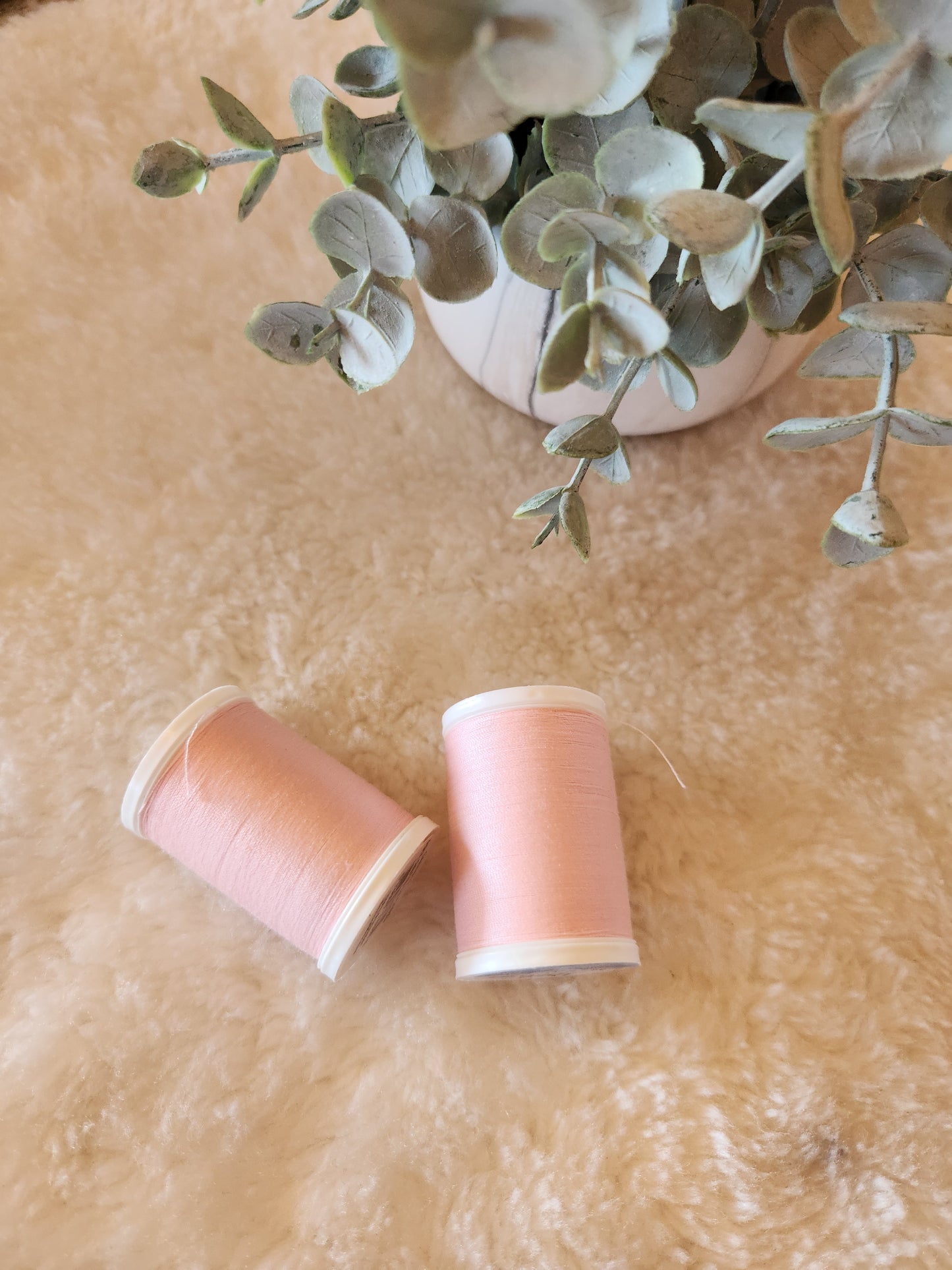 Coats Dual Duty XP All Purpose Thread - 250 yards