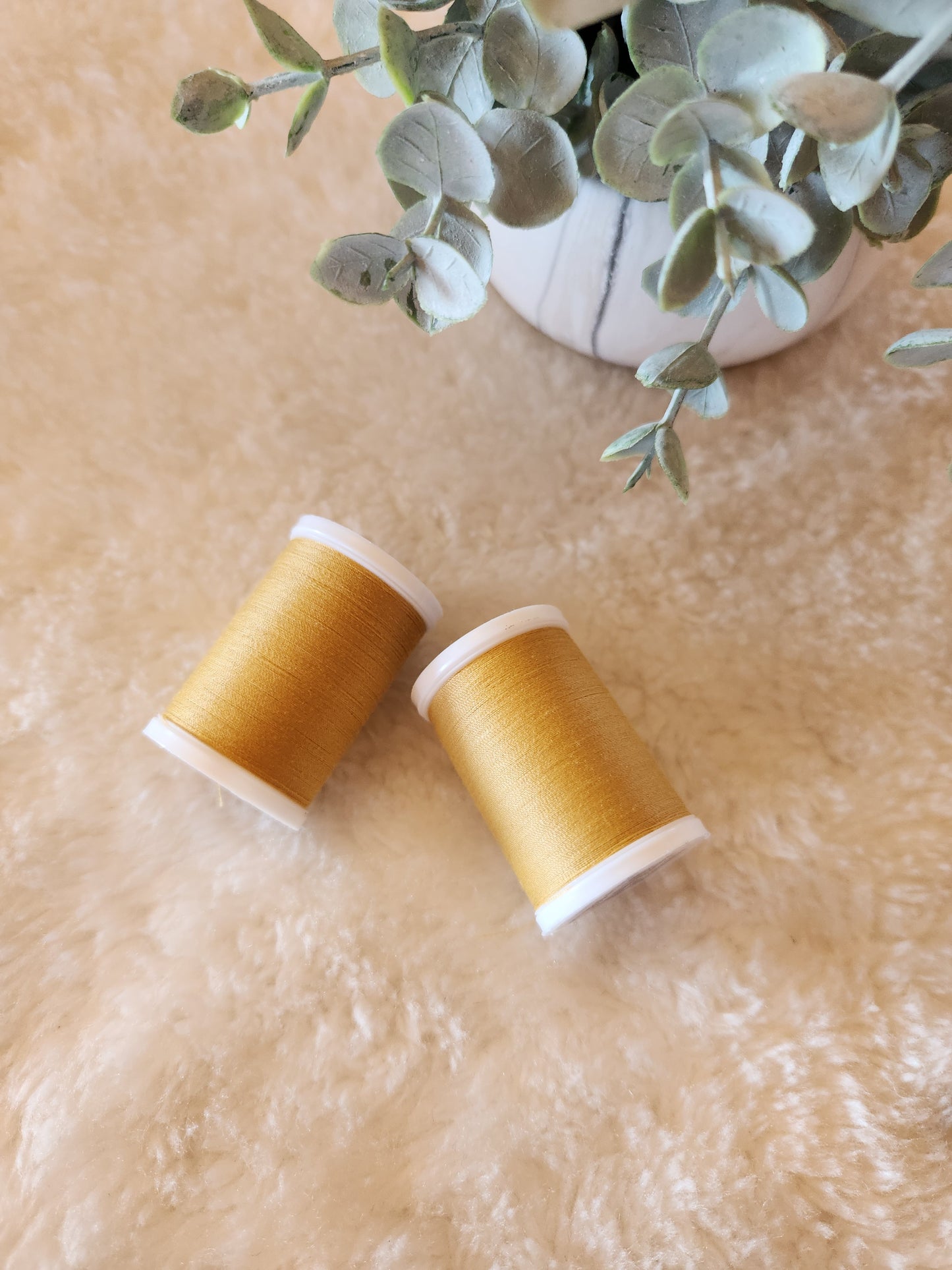 Coats Dual Duty XP All Purpose Thread - 250 yards