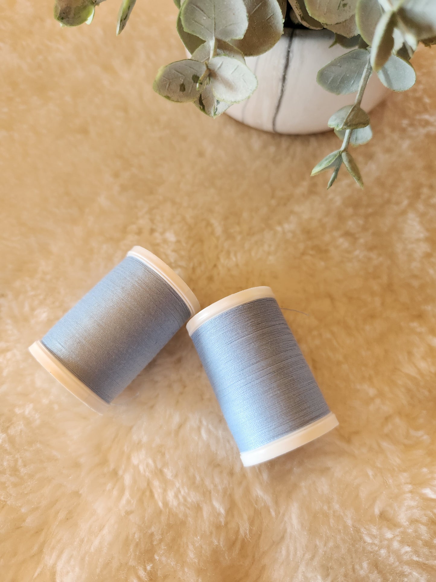 Coats Dual Duty XP All Purpose Thread - 250 yards