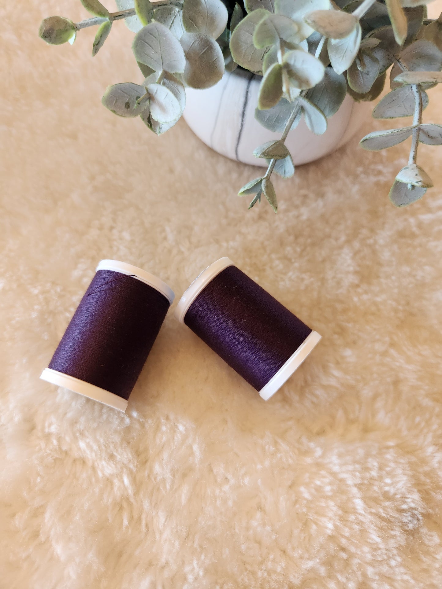 Coats Dual Duty XP All Purpose Thread - 250 yards