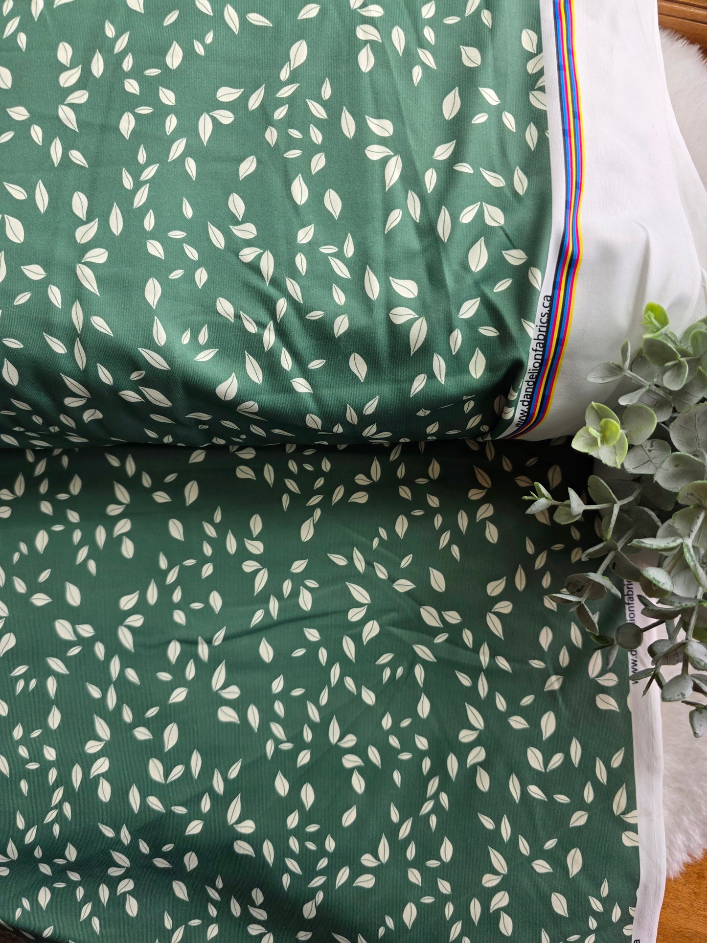 Leaf Print Eureka Jersey Knit