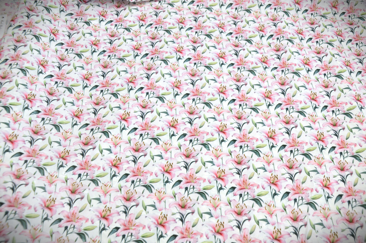 Easter Lily