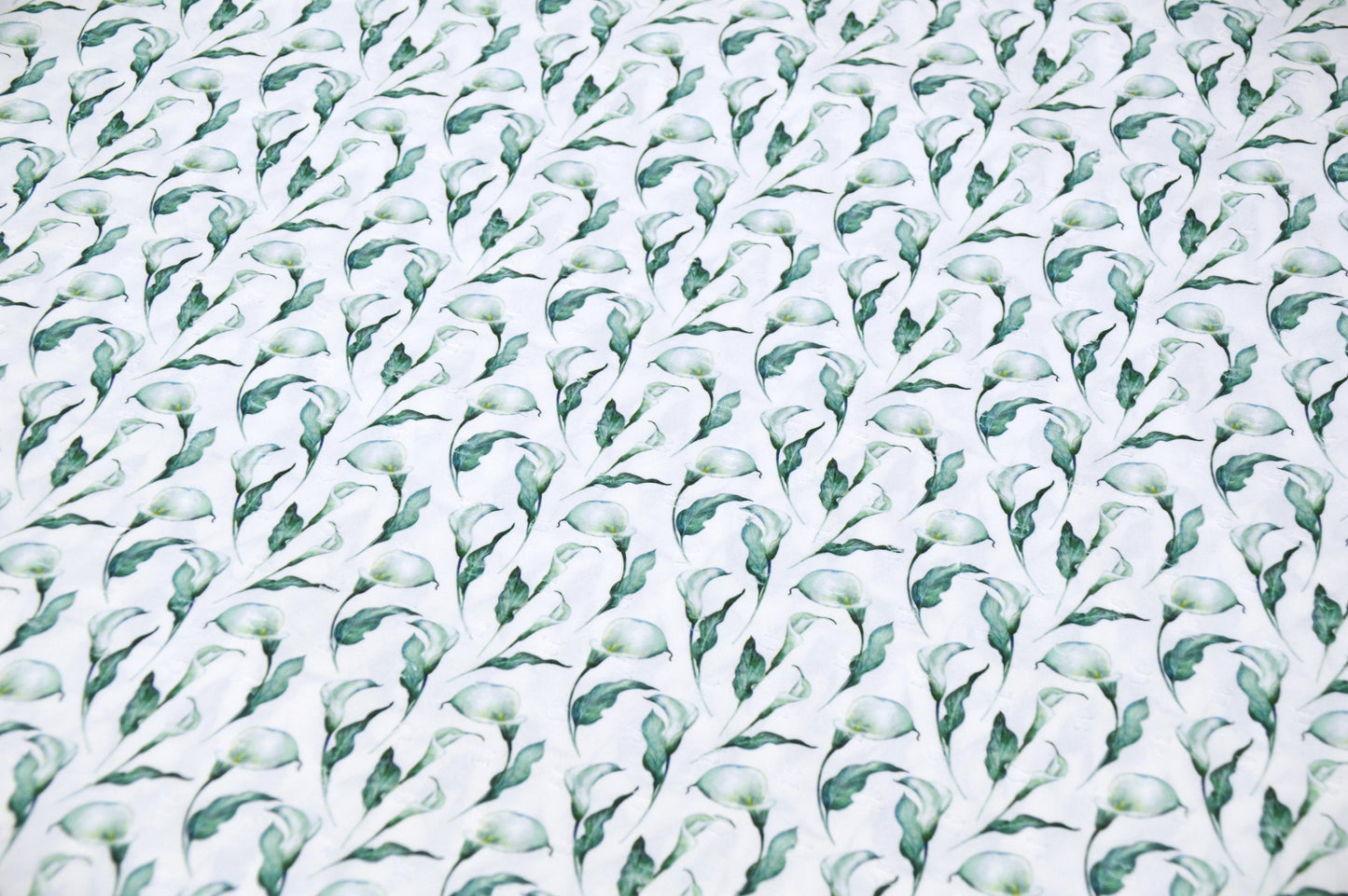 Calla Lily