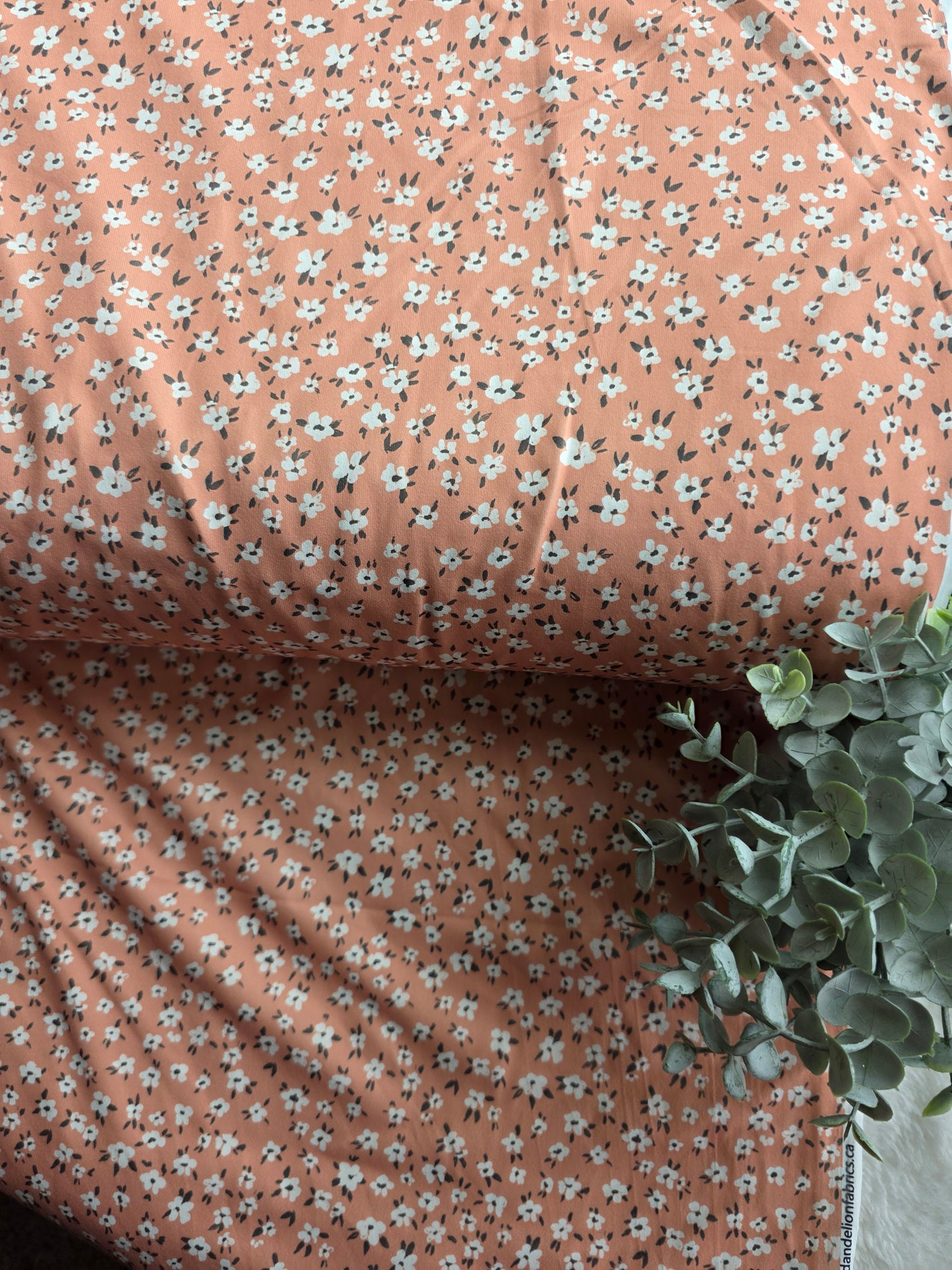 Peach Genesis Floral Eureka Jersey Knit