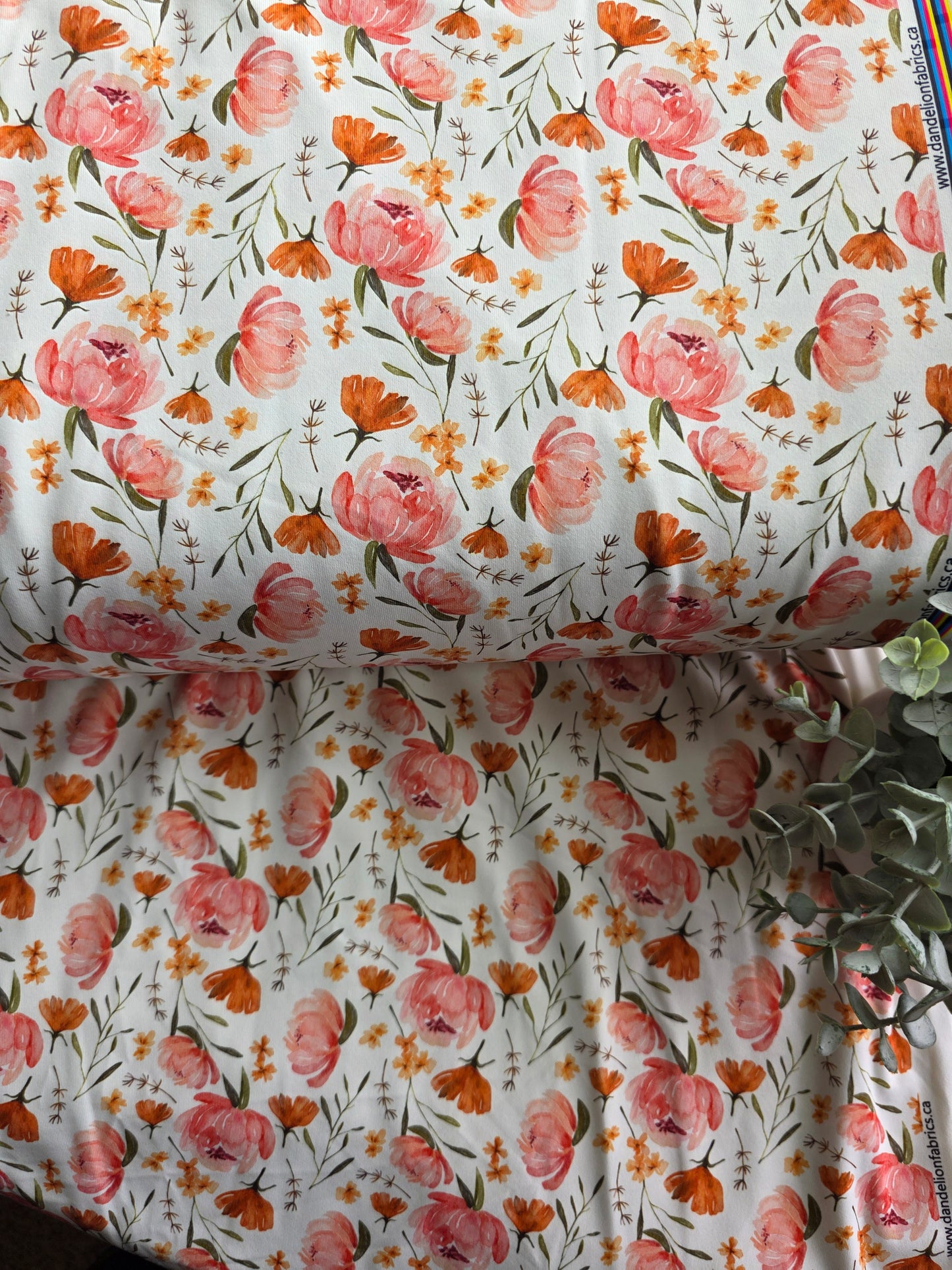 Jackie Floral Eureka Jersey Knit
