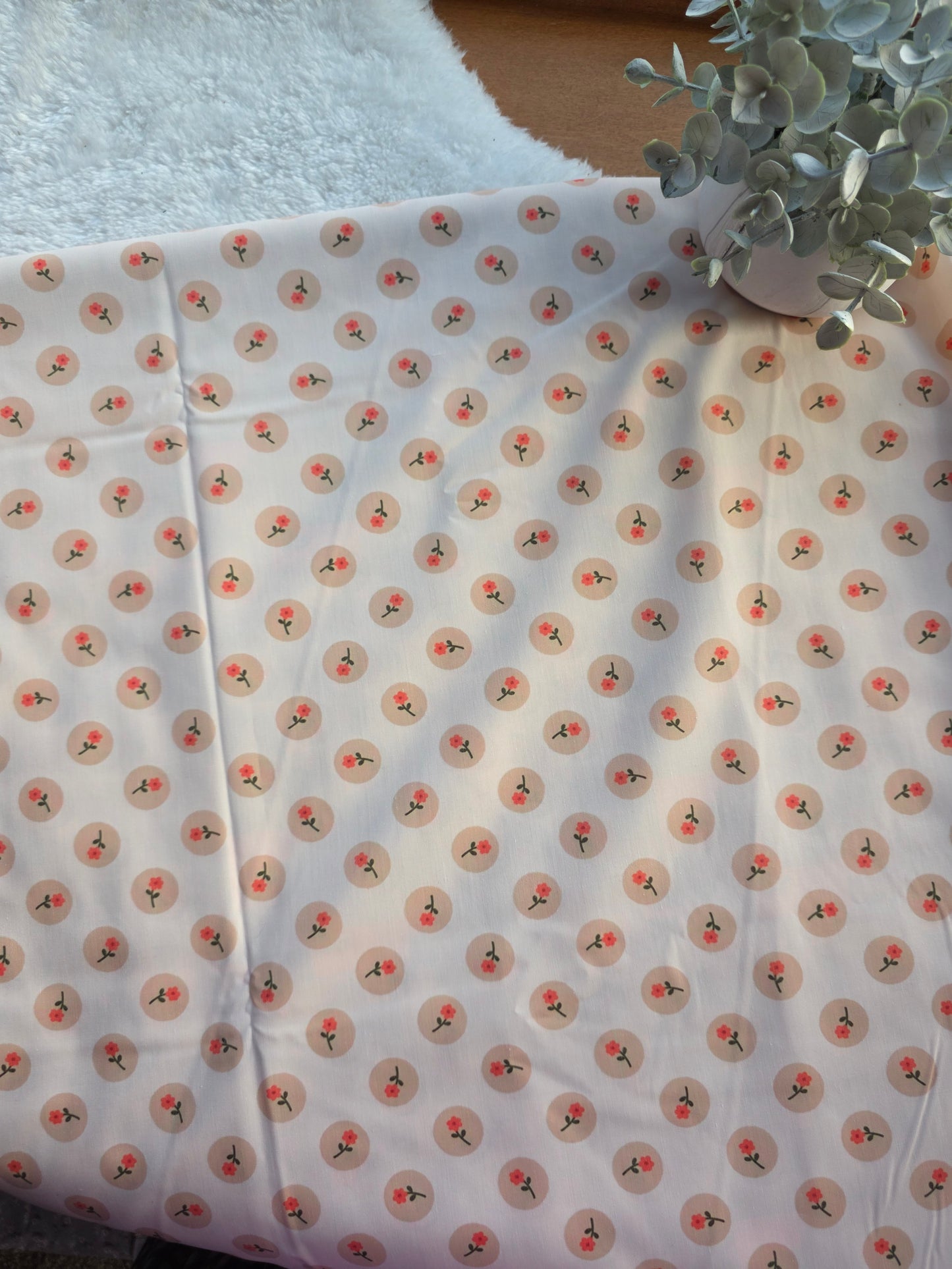 Daisy Dot