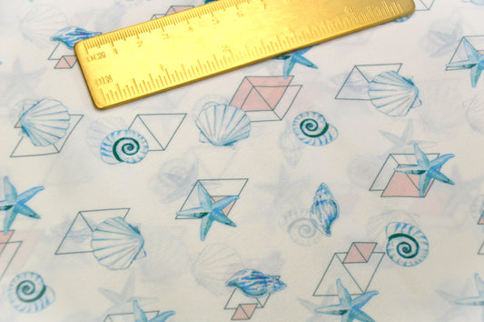 Shell