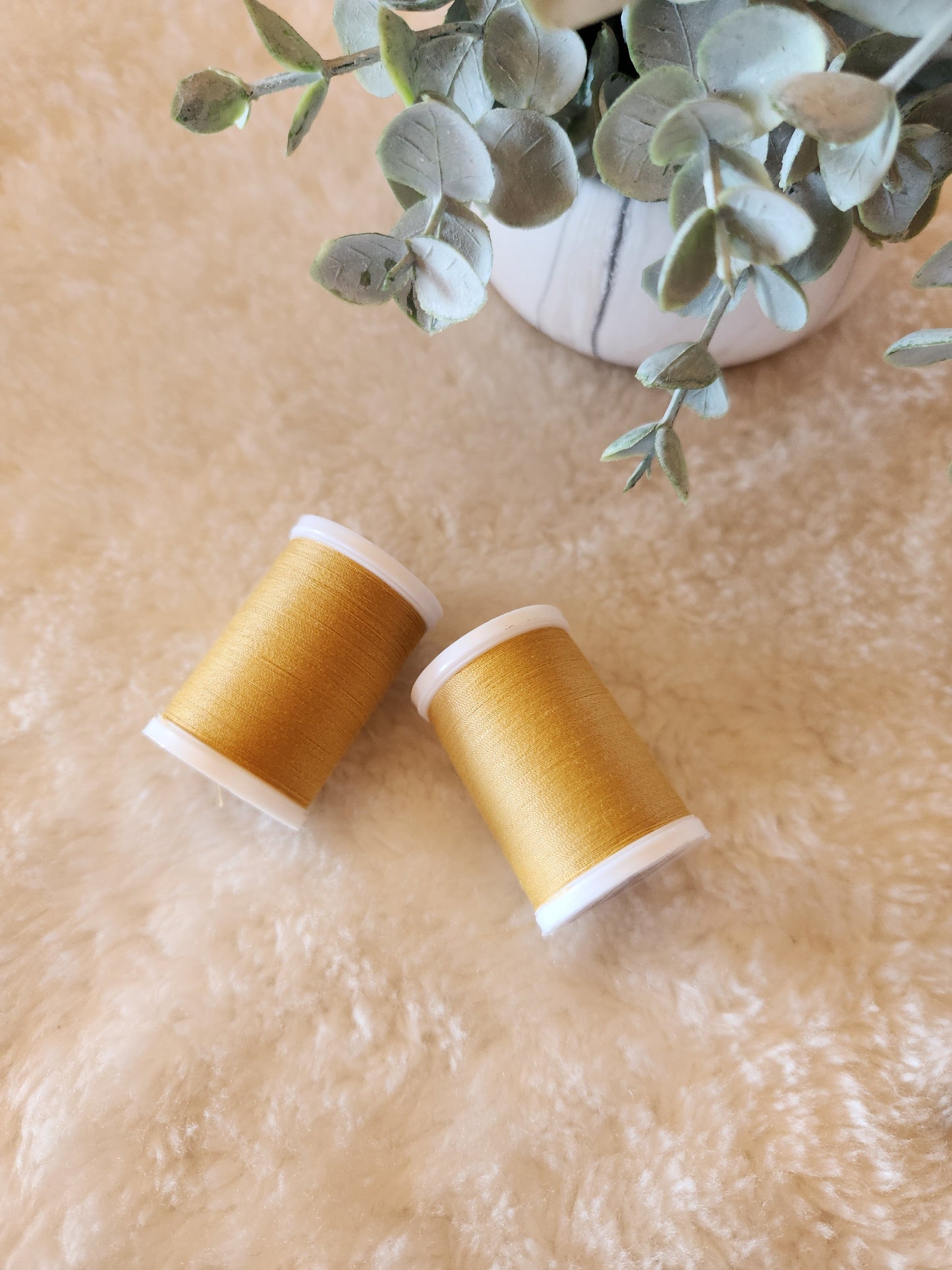 Coats Dual Duty XP All Purpose Thread - 250 yards